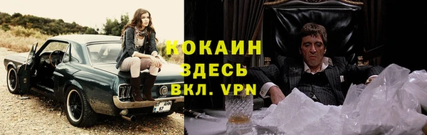 прущий лед Алзамай