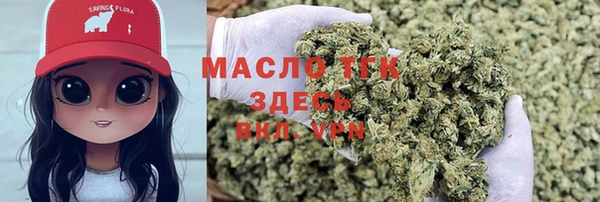 прущий лед Алзамай