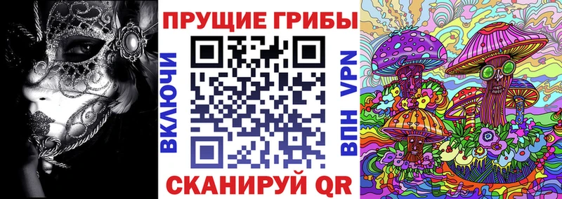 Галлюциногенные грибы Psilocybine cubensis  OMG ТОР  Хотьково 